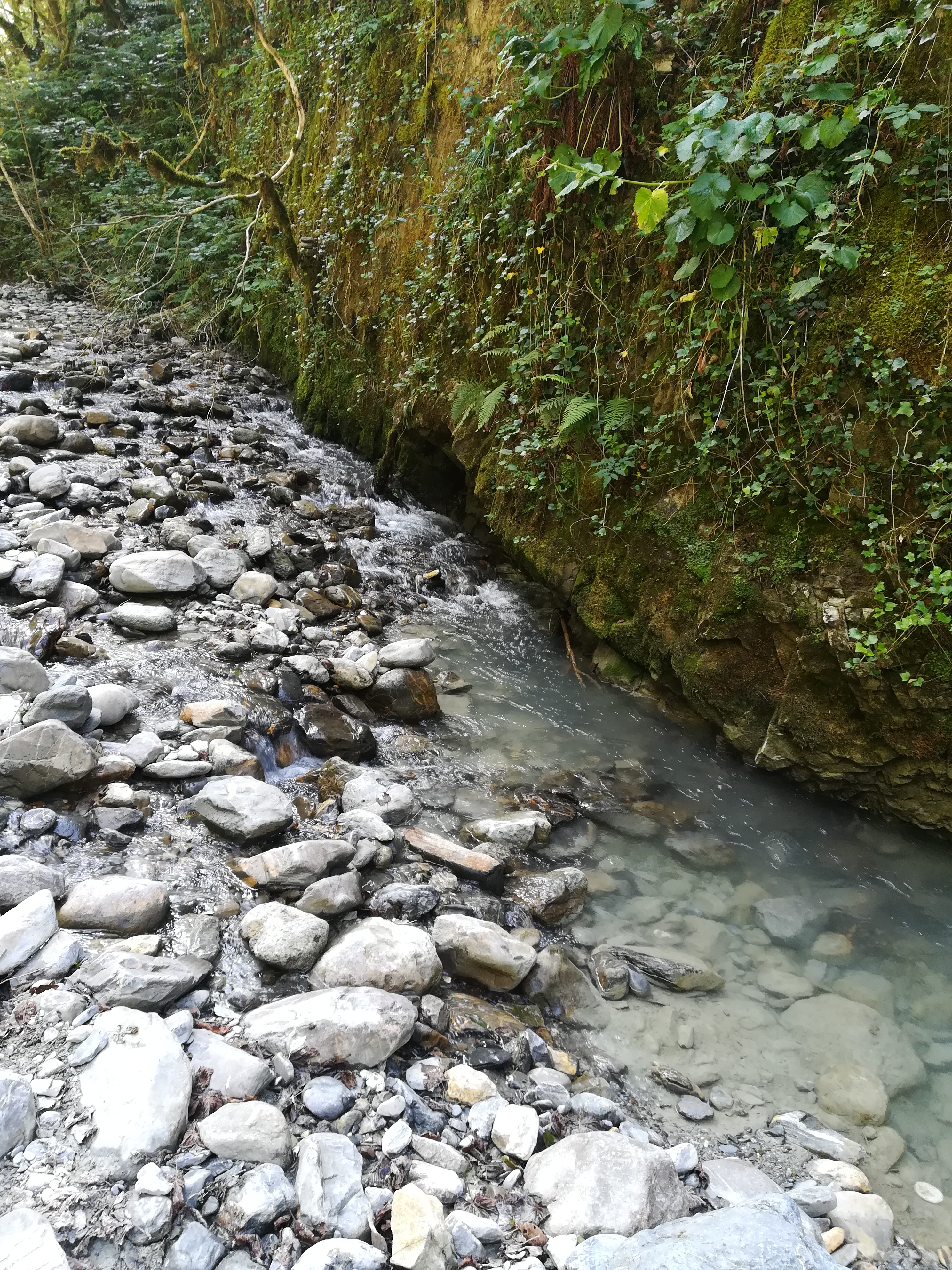 Photo n° 2 de l'avis de Christophe.i fait le 25/08/2018 à 07:10