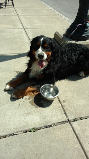 Cafe «Steamworks Coffee», reviews and photos, 51 Canal St, Lockport, NY 14094, USA