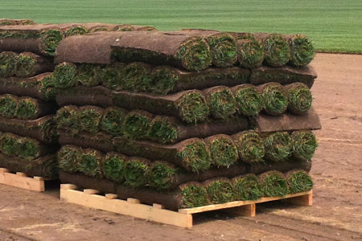 Southern Ontario Sod
