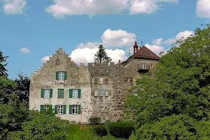 Schloss Wellenberg image