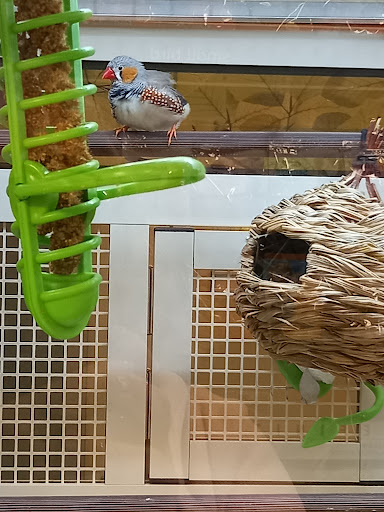 Pet Supply Store «PetSmart», reviews and photos, 5857 NJ-42, Turnersville, NJ 08012, USA