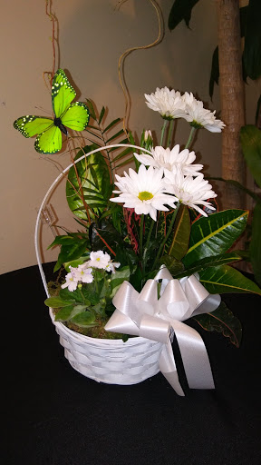 Florist «Blooms & Bouquets», reviews and photos, 2502 N Howard Ave, Tampa, FL 33607, USA