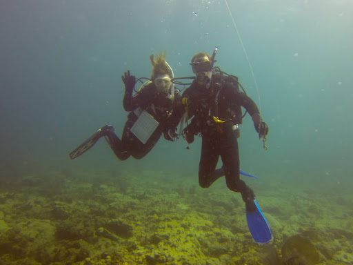 Dive Shop «Sea Experience Glassbottom Snorkel and Dive Tours», reviews and photos, 801 Seabreeze Blvd, Fort Lauderdale, FL 33316, USA