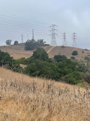 Park «Peter F. Schabarum Regional Park», reviews and photos, 17250 Colima Rd, Rowland Heights, CA 91748, USA