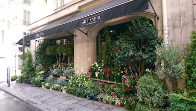 Adriane M. Fleuriste Paris à Paris