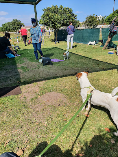 Cape Handlers Dog Club