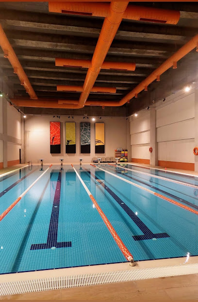 Bahçeşehir Kültür Yüzme Kulübü