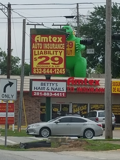 Shopping Mall «Humblewood Shopping Center», reviews and photos, 19661 US-59, Humble, TX 77338, USA