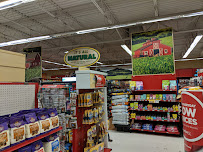Petco - Photo 5 - Car repair in Albuquerque, NM, Albuquerque