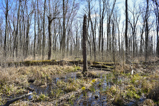 Ash Brook Reservation Hiking Trail