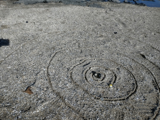 Nature Preserve «Littlejohn Island Preserve», reviews and photos, Pemasong Ln, Yarmouth, ME 04096, USA