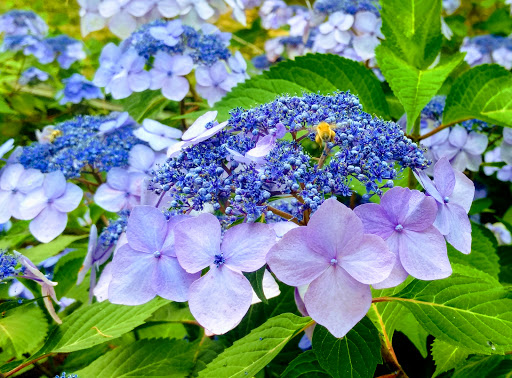 State Park «Cochituate State Park», reviews and photos, 43 Commonwealth Rd, Natick, MA 01760, USA