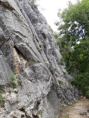 Centre sportif de Grimpe à Peyrieu