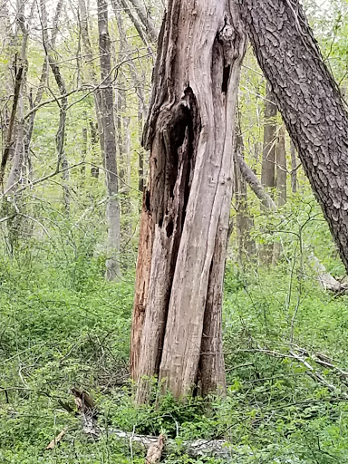 Park «Perrineville Lake Park», reviews and photos, 143 Baird Rd, Millstone, NJ 07726, USA