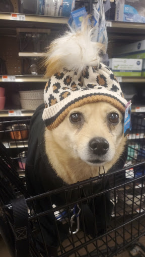 Pet Supply Store «Pet Supplies Plus», reviews and photos, 15060 Eureka Rd, Southgate, MI 48195, USA