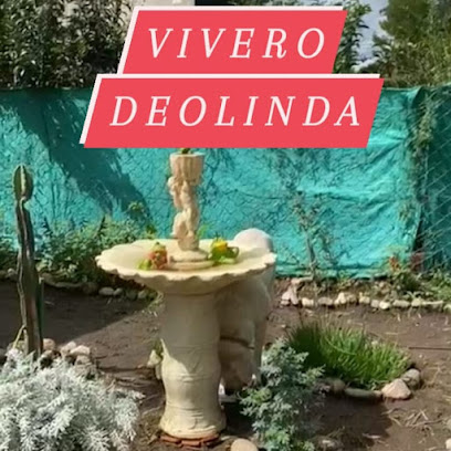 Deolinda Vivero
