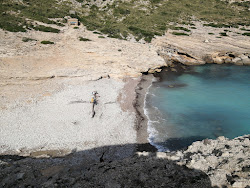 Cala Figuera'in fotoğrafı doğal alan içinde bulunmaktadır