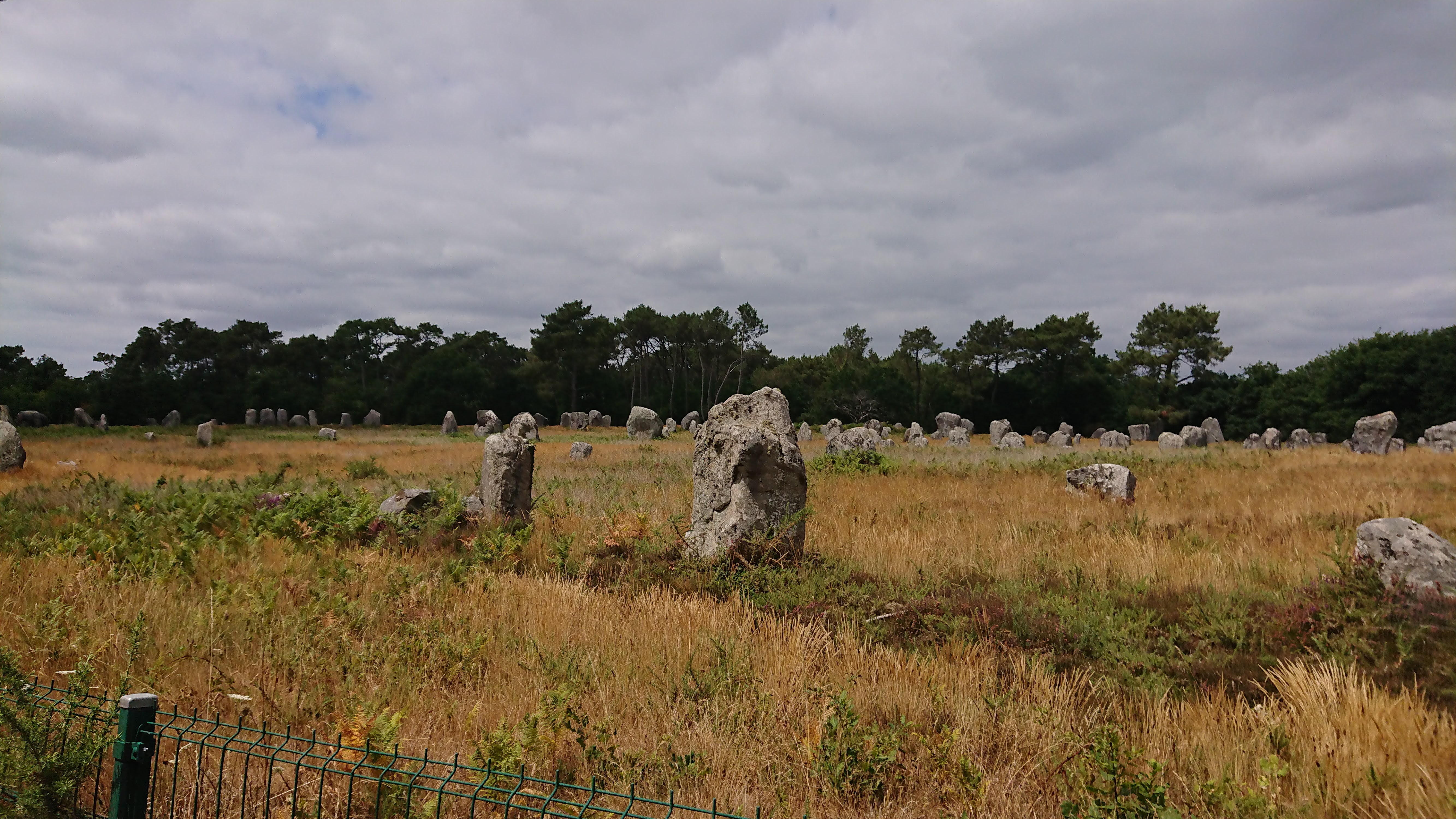 Photo n° 21 de l'avis de Aléane.T fait le 21/07/2022 à 15:37