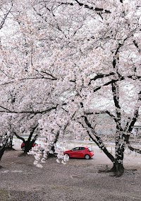 東公園(あづまこうえん)