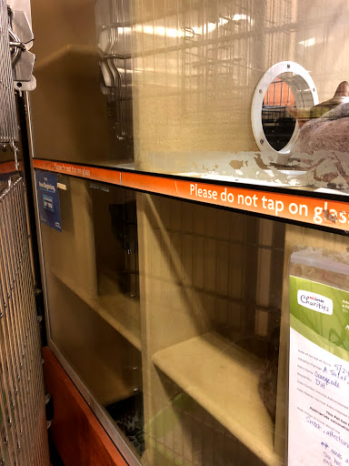 Pet Supply Store «PetSmart», reviews and photos, 238 Atlantic Ave, Brooklyn, NY 11201, USA