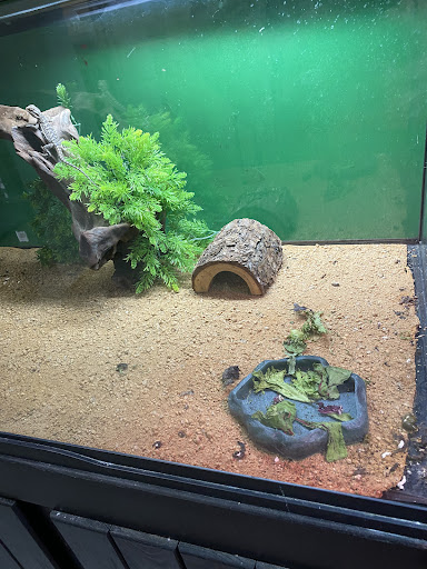 Pet Supply Store «Coastline Pet Supply», reviews and photos, 3530 Northgate Dr, Myrtle Beach, SC 29588, USA