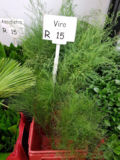 Wholesale plant nursery