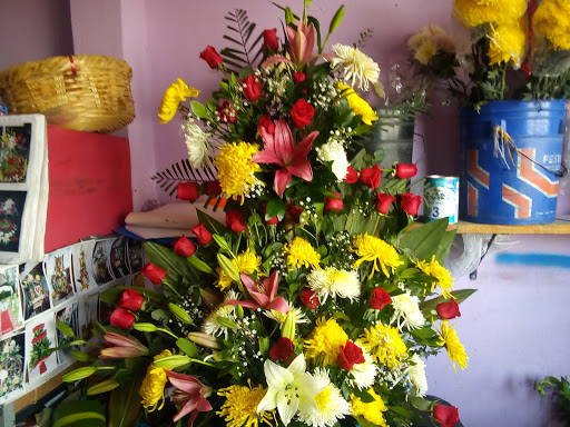 Floreria Velázquez – Temascalapa