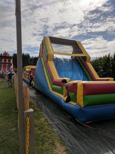 Childrens Farm «Best Long Island Pumpkin Picking», reviews and photos, 250 Old Country Rd, Melville, NY 11747, USA