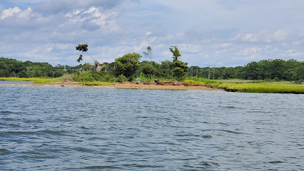 Tom's Island