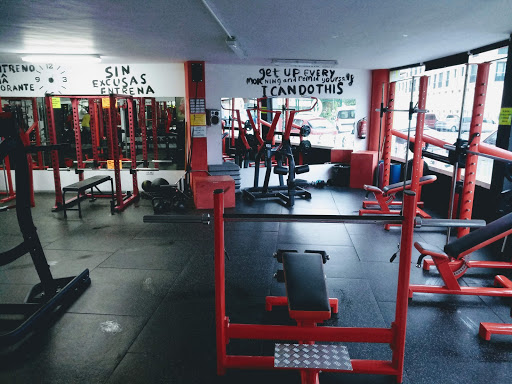 Miguel Seijo Centro de fitness en Viveiro, Lugo