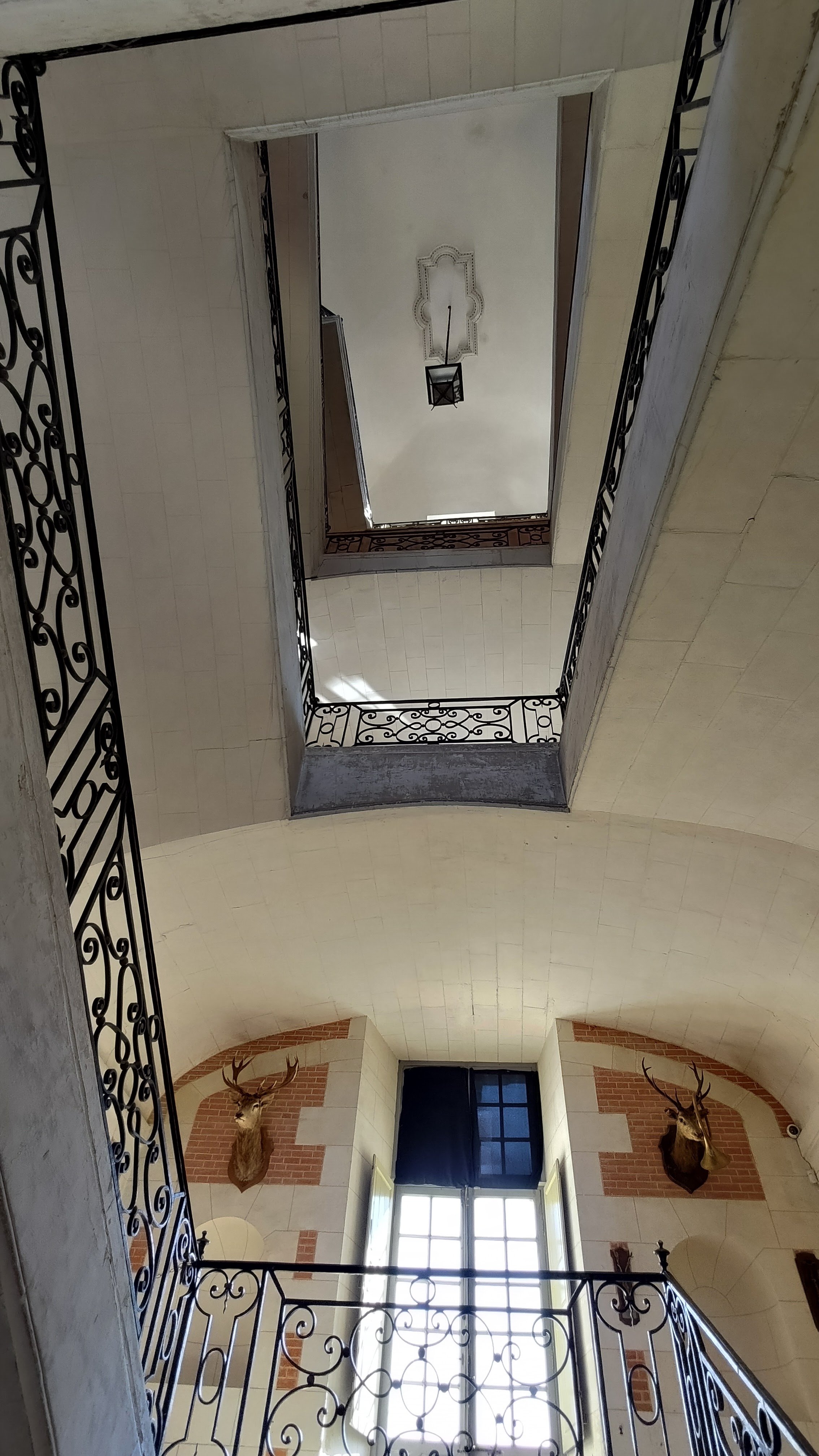 Photo n° 28 de l'avis de jean-philippe.a fait le 04/08/2022 à 05:36