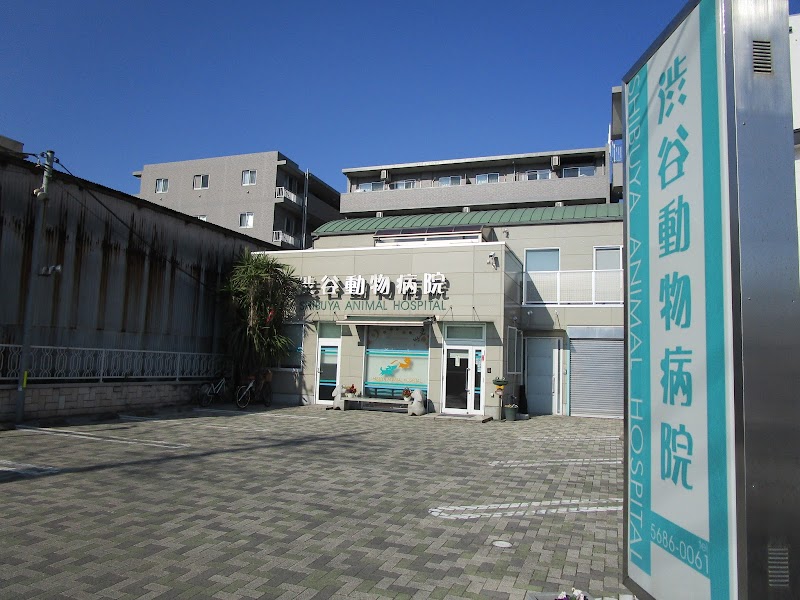 渋谷動物病院