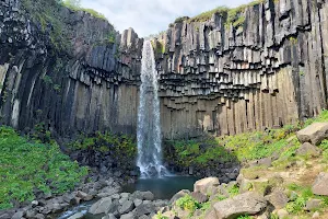 Svartifoss Trail image