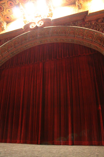 Movie Theater «Tampa Theatre», reviews and photos, 711 N Franklin St, Tampa, FL 33602, USA