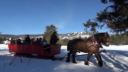 Tremblant Sleighrides