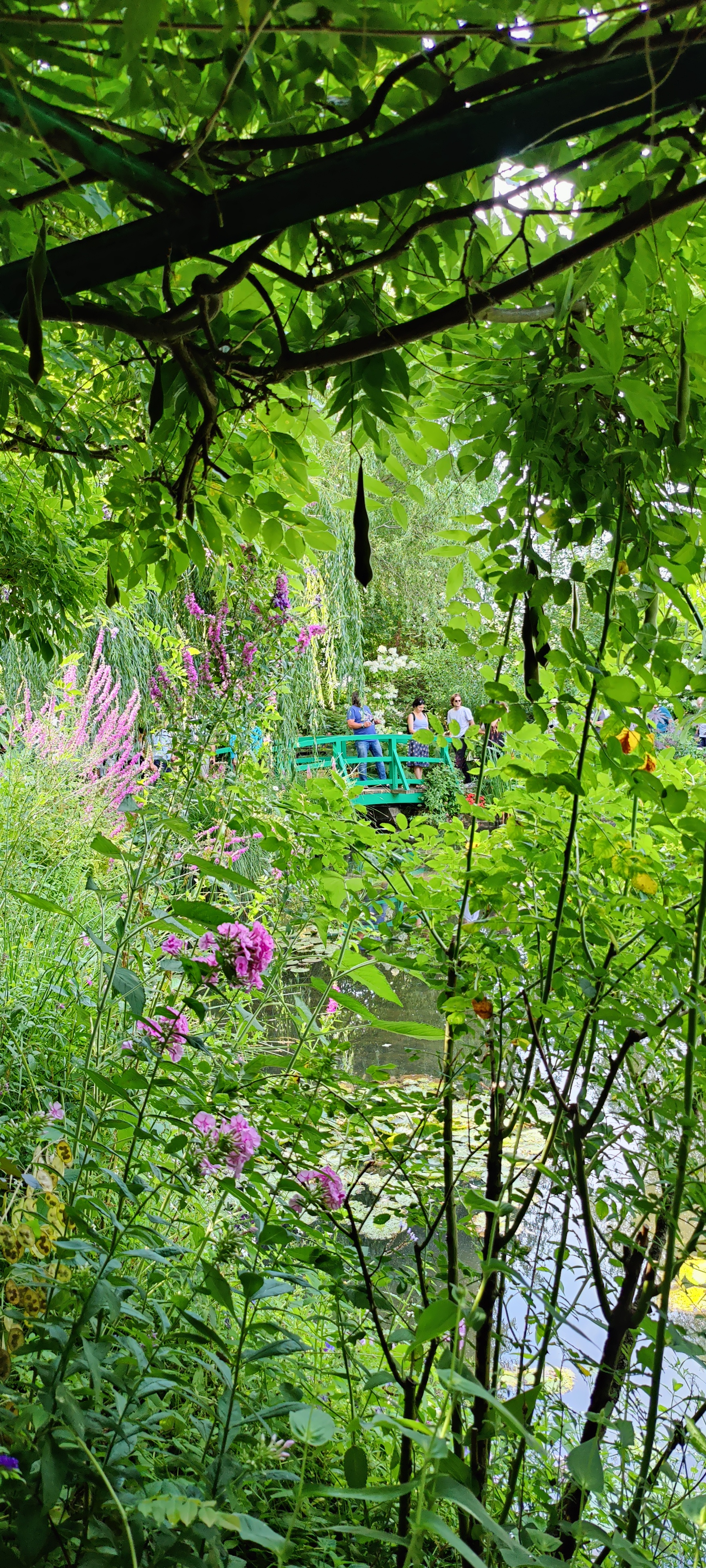 Photo n° 4 de l'avis de Clo.a fait le 17/07/2023 à 16:16