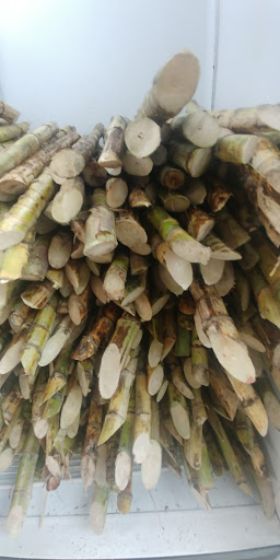 Grocery Store «Latin American Market», reviews and photos, 7365 W Flagler St, Miami, FL 33144, USA