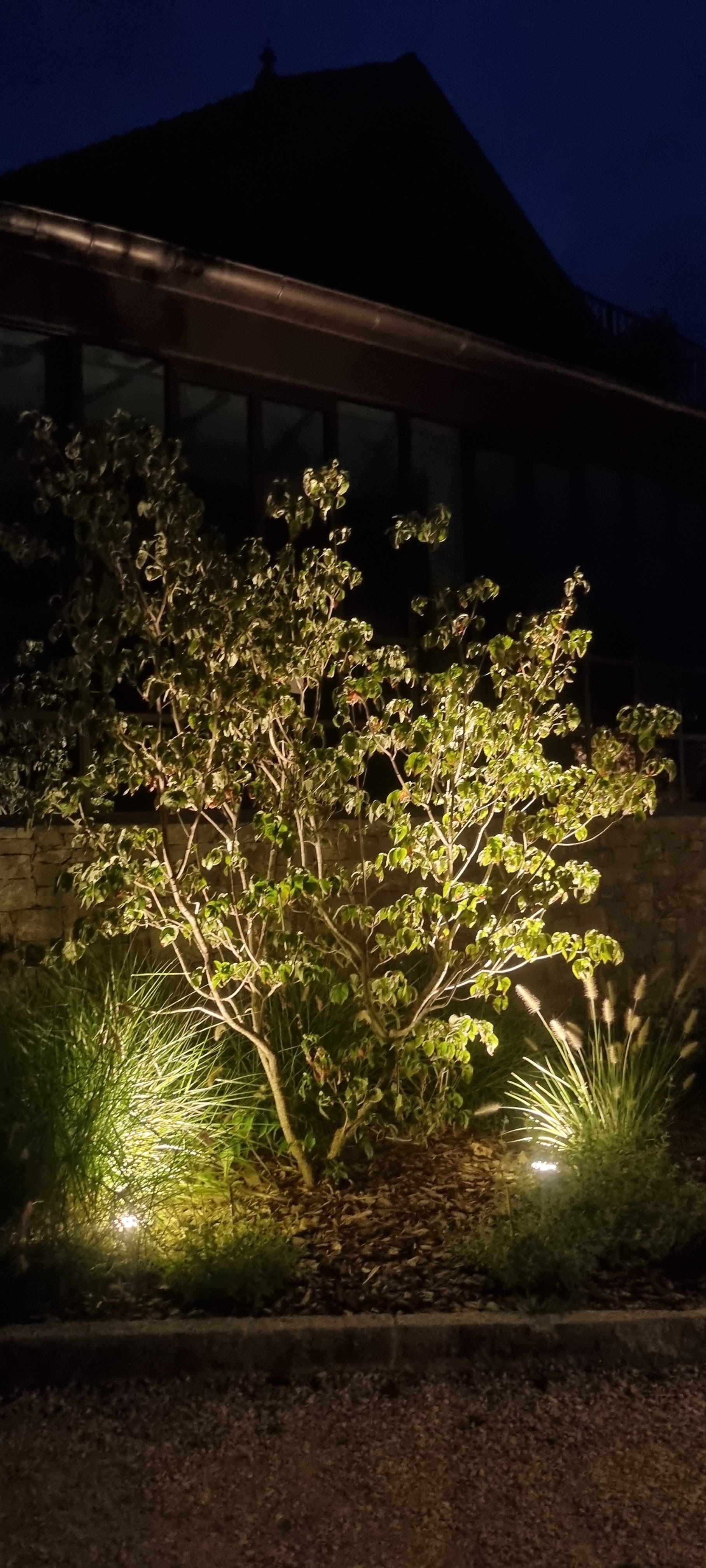 Photo n° 2 de l'avis de VANDA. fait le 18/08/2022 à 17:43