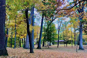 Fred Fuller Park image