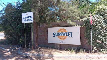 Sunsweet Chile S. A.