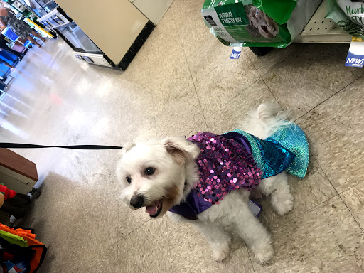 Pet Supply Store «PetSmart», reviews and photos, 10900 W Jefferson Blvd, Culver City, CA 90230, USA
