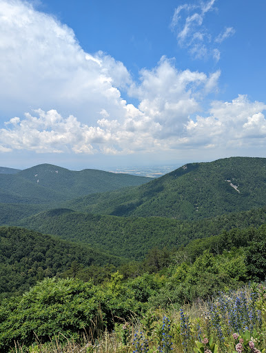 National Park «Shenandoah National Park», reviews and photos