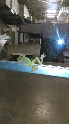 Commercial Printer «Henry Wurst, Inc. Kansas City», reviews and photos, 1331 Saline St, North Kansas City, MO 64116, USA