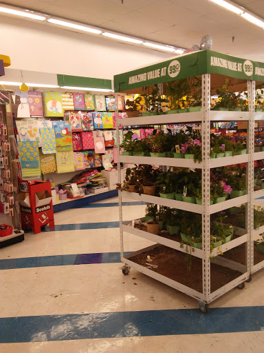 Discount Store «99 Cents Only Stores», reviews and photos, 1720 E Colorado Blvd, Pasadena, CA 91106, USA