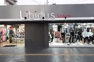 Libidus Store - Três de Maio image