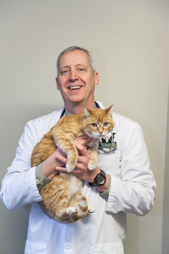 Fairhaven Veterinary Hospital: Kummer Mark DVM image