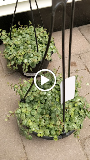Glendora Gardens Nursery image
