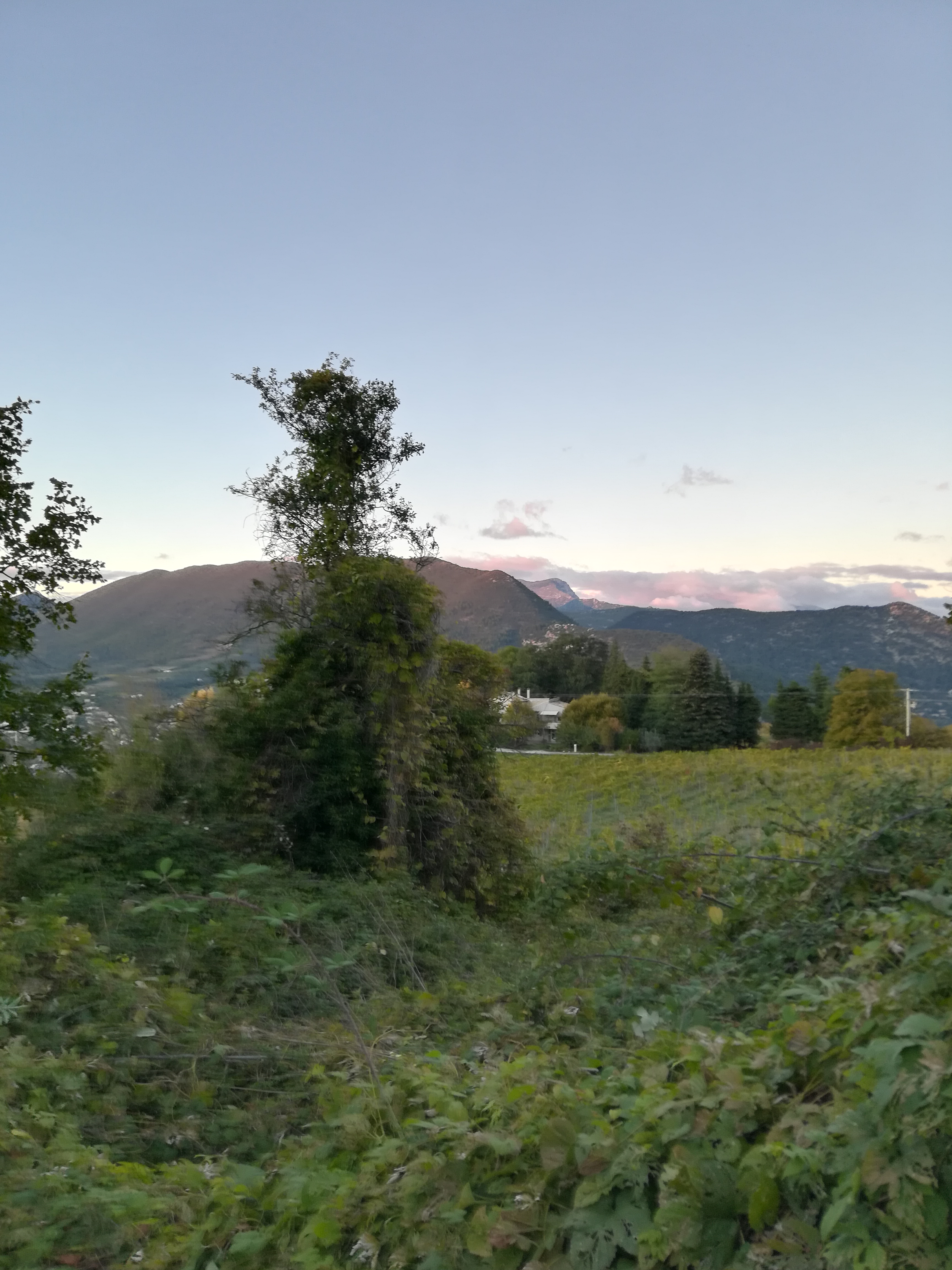 Photo n° 1 de l'avis de Elsa.i fait le 03/11/2018 à 17:18