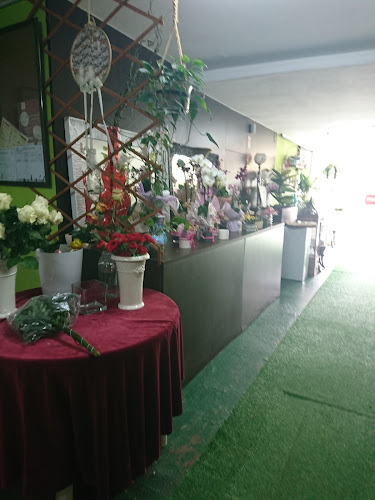 Avaliações doArte Belaflor-florista Lda em Barcelos - Floricultura