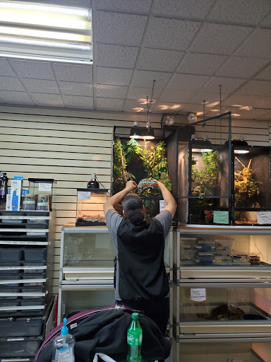 Pet Store «Petfection Exotic Pet Specialist», reviews and photos, 2989 PA-611 Suite 102, Tannersville, PA 18372, USA